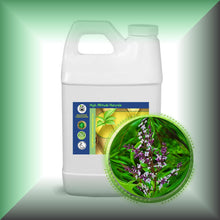 Lemon Verbena (Aloysia Citrodora) Essential Oil