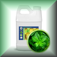 Peppermint Essential Oil (Mentha Piperata)