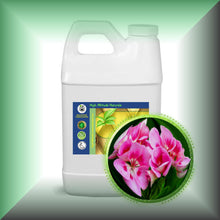 Geranium (Pelargonium Graveolens) Essential Oil