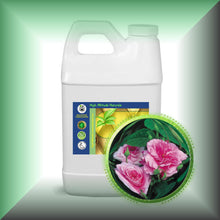 Rose Essential Oil *Bulgaria* (Rose Otto, Rosa Damascena)