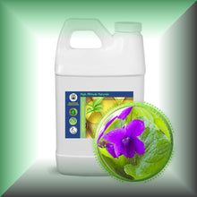 Violet Leaf Absolute Essential Oil (Viola Odorata)