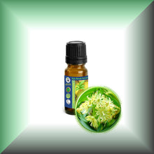 Linden Blossom (Tilia Vulgaris) Essential Oil