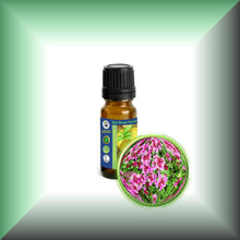 Red Thyme Essential Oil (Thymus Vulgaris)