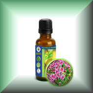 Red Thyme Essential Oil (Thymus Vulgaris) 1oz glass bottle with euro dropper