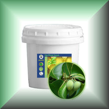 Tamanu (Foraha) Oil – Virgin, Undiluted for Skin & Hair in a 32 oz tub with lid.