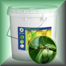 Tamanu (Foraha) Oil – Virgin, Undiluted for Skin & Hair in a Gallon tub with lid, bulk, wholesale size.
