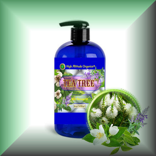 Tea Tree Temptations™ Body Massage Oil – Herbal & Mint Blend in a 16 fl oz bottle with pump.