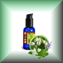 Tea Tree Temptations™ Body Massage Oil – Herbal & Mint Blend in a 1 fl oz bottle with pump.