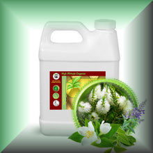 Tea Tree Temptations™ Body Massage Oil – Herbal & Mint Blend in a 32 fl oz jug.