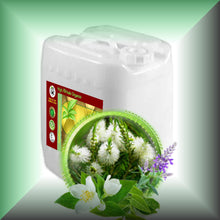 Tea Tree Temptations™ Body Massage Oil – Herbal & Mint Blend in a 5-gallon jerrycan, bulk, wholesale size.