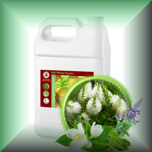 Tea Tree Temptations™ Body Massage Oil – Herbal & Mint Blend in a gallon jug, bulk, wholesale size.