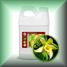 Vanilla (Vanilla Planifolia) Essential Oil