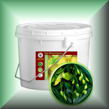 Neem Oil for Skin, Hair, Scalp & Nails - Virgin, in  a 64oz white tub with lid.