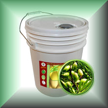 Virgin Argan Oil for Face, Skin, Hair, Beard & Massage in 5-Gallon pail for bulk, wholesale purchase.