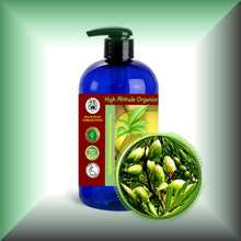 Virgin Argan Oil for Face, Skin, Hair, Beard & Massage in 16 fl oz bottle with pump.