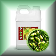 Virgin Argan Oil for Face, Skin, Hair, Beard & Massage in 64 fl oz jug for buk, wholesale puchases.