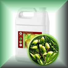 Virgin Argan Oil for Face, Skin, Hair, Beard & Massage in a Galon size jug for bulk,wholesale purchases.