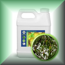 Baobab Seed Oil for Face, Dry Skin, Hair & Massage in 32 fl oz jug. 