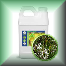 Baobab Seed Oil for Face, Dry Skin, Hair & Massage in 64 fl oz jug for bulk, wholesale purchase.