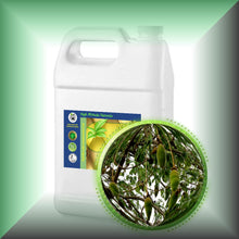 Baobab Seed Oil for Face, Dry Skin, Hair & Massage in a Gallon size jug for bulk, wholesale purchases.