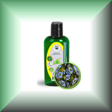Black Cumin Seed Oil for Face, Skin, Hair & Scalp - Virgin, Unrefined in 2 fl oz bottle with dispenser cap.