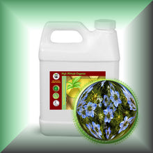 Black Cumin Seed Oil for Face, Skin, Hair & Scalp - Virgin, Unrefined in a 32 fl oz jug.