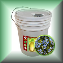 Black Cumin Seed Oil for Face, Skin, Hair & Scalp - Virgin, Unrefined in a 5-gallon pail for bulk, wholesale purchases.