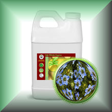 Black Cumin Seed Oil for Face, Skin, Hair & Scalp - Virgin, Unrefined in a 64 oz jug for bulk, wholesale purchases.