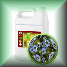 Black Cumin Seed Oil for Face, Skin, Hair & Scalp - Virgin, Unrefined in a Gallon jug for bulk, wholesale purchases.