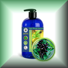 Black Currant Seed Oil for Face, Dry Skin, Hair & Scalp in a 16 fl oz bottle with pump.