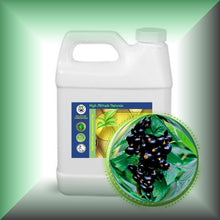 Black Currant Seed Oil for Face, Dry Skin, Hair & Scalp in a 32 fl oz jug.