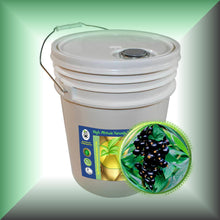 Black Currant Seed Oil for Face, Dry Skin, Hair & Scalp in a 5-gallon pail for bulk, wholesale purchase.