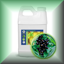 Black Currant Seed Oil for Face, Dry Skin, Hair & Scalp in a 64 fl oz jug for bulk, wholesale.