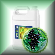 Black Currant Seed Oil for Face, Dry Skin, Hair & Scalp in a Gallon size jug for bulk, wholesale purchases.