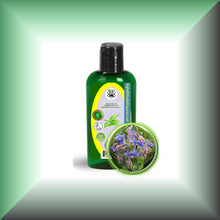 Borage Seed Oil for Dry Mature Skin, Face, Hair & Scalp in a 2 fl oz bottle with dispenser cap.