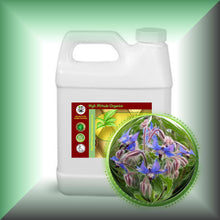 Borage Seed Oil for Dry Mature Skin, Face, Hair & Scalp in a 32 fl oz jug.