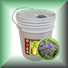 Borage Seed Oil for Dry Mature Skin, Face, Hair & Scalp in a 5-gallon pail, bulk, wholesale size.