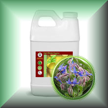 Borage Seed Oil for Dry Mature Skin, Face, Hair & Scalp in in a 64 fl oz jug, bulk, wholesale size.