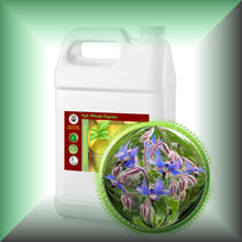 Borage Seed Oil for Dry Mature Skin, Face, Hair & Scalp in a Gallon jug for bulk, wholesale purchases.