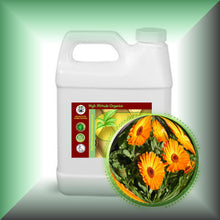 Calendula Oil Extract for Dry, Sensitive Skin, Face & Body in a 32 fl oz jug.