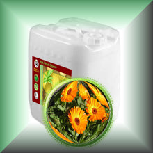 Calendula Oil Extract for Dry, Sensitive Skin, Face & Body in a 5-gallon jerrycan, bulk, wholesale size.