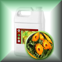 Calendula Oil Extract for Dry, Sensitive Skin, Face & Body in a Gallon jug, bulk, wholesale size.