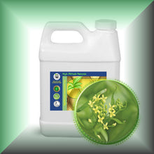 Camelina Seed Oil for Face, Dry Skin, Hair & Scalp - Virgin in a 32 fl oz jug.