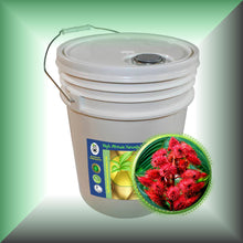 Castor Oil (USP) for Hair, Scalp, Brows, & Skin in a 5-gallon pail, bulk, wholesale size.