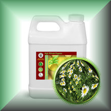 Chamomile Herbal Oil for Dry, Sensitive Skin & Blonde Hair in a 32 fl  oz jug.