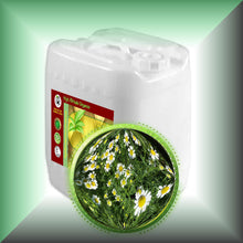 Chamomile Herbal Oil for Dry, Sensitive Skin & Blonde Hair in a 5-gallon jerrycan, bulk, wholesale size.