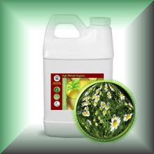Chamomile Herbal Oil for Dry, Sensitive Skin & Blonde Hair in a 64 fl oz jug, bulk size.