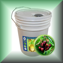 Cherry Kernel Oil for Face, Dry Skin, Hair & Massage in a 5 gallon pail, bulk, wholesale size.