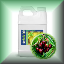Cherry Kernel Oil for Face, Dry Skin, Hair & Massage in a 64 oz jug, bulk,wholesale size.