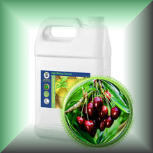 Cherry Kernel Oil for Face, Dry Skin, Hair & Massage  in a Gallon jug, bulk,wholesale size.
